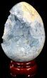Crystal Filled Celestine (Celestite) Egg - Madagascar #41671-2